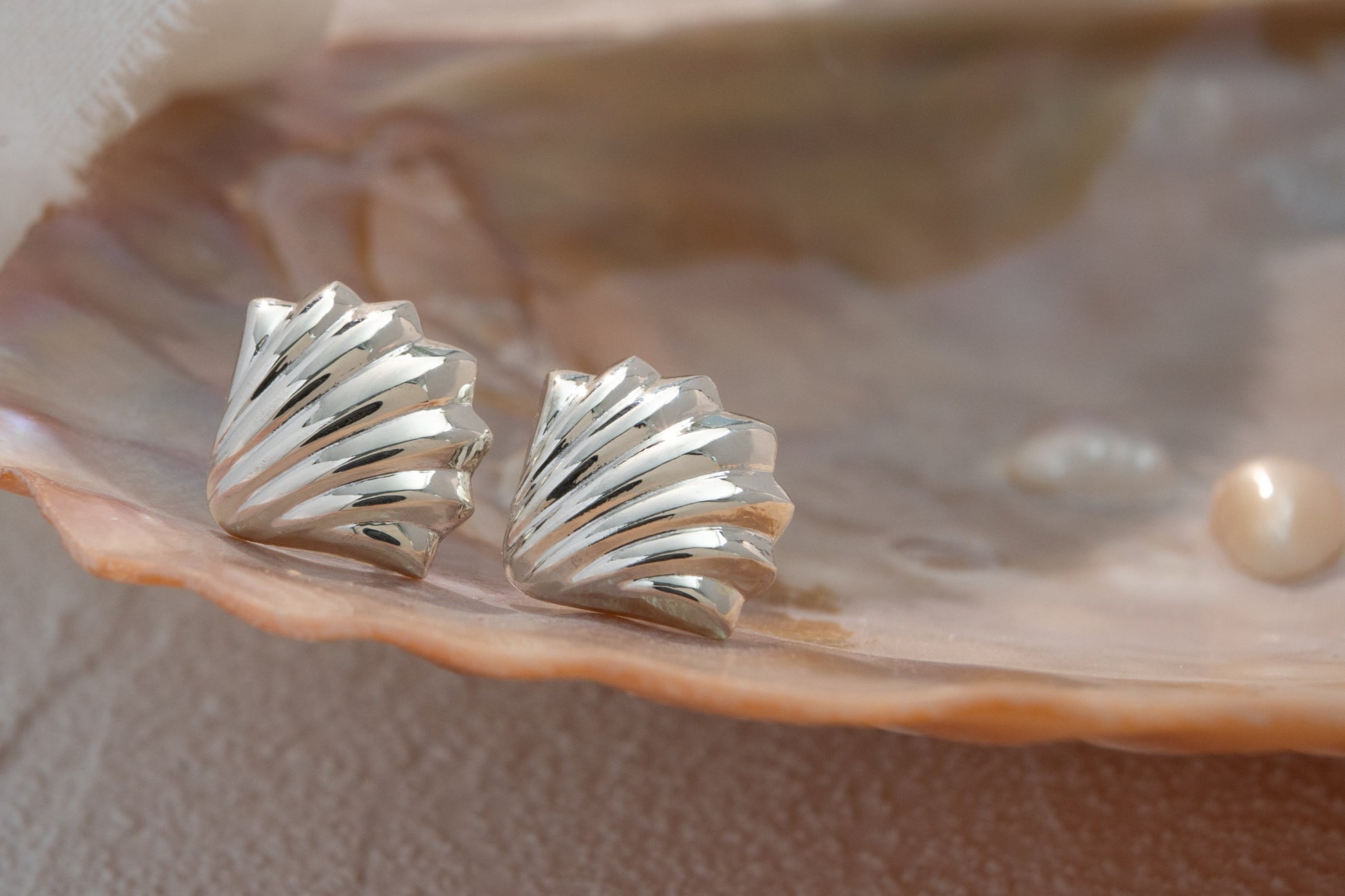 Silver shell-shaped earrings on a large shell with a pearl.